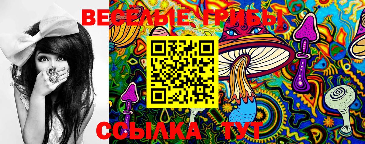 Ишимбай  Псилоцибиновые грибы GOLDEN TEACHER  где найти наркотики  Вход с VPN  Псилоцибиновые грибы Cubensis 